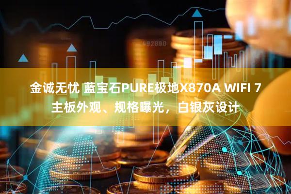 金诚无忧 蓝宝石PURE极地X870A WIFI 7主板外观、规格曝光，白银灰设计