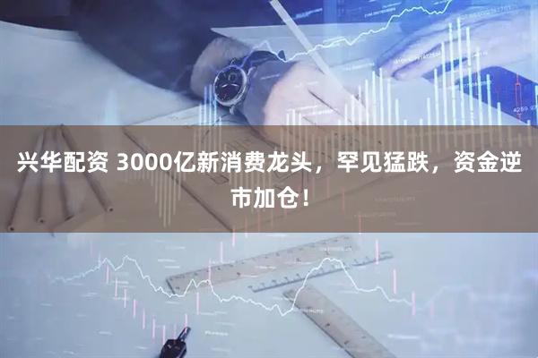 兴华配资 3000亿新消费龙头，罕见猛跌，资金逆市加仓！
